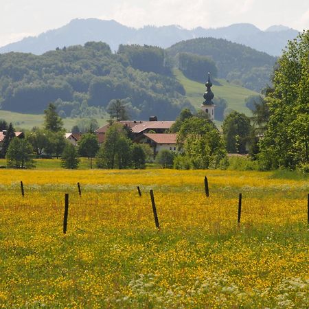 Ferienwohnungen im Alpengästehaus Marzoll - Bad Reichenhall Exterior foto
