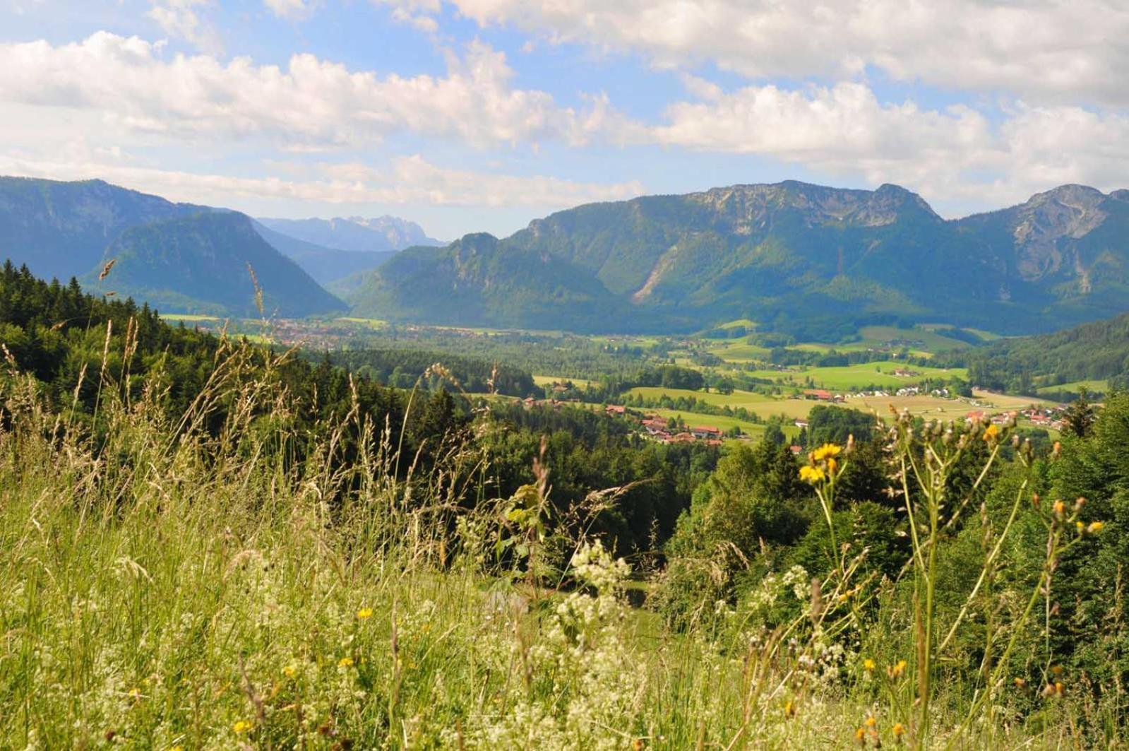 Ferienwohnungen im Alpengästehaus Marzoll - Bad Reichenhall Exterior foto